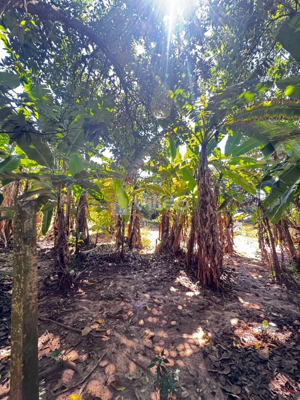 Imagem A área total disponível é de aproximadamente 4.000 m², com possibilidade de desmembramento em lo...