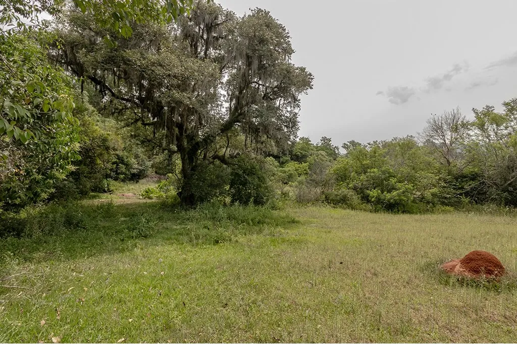 Imagem Terreno em Belém Velho
