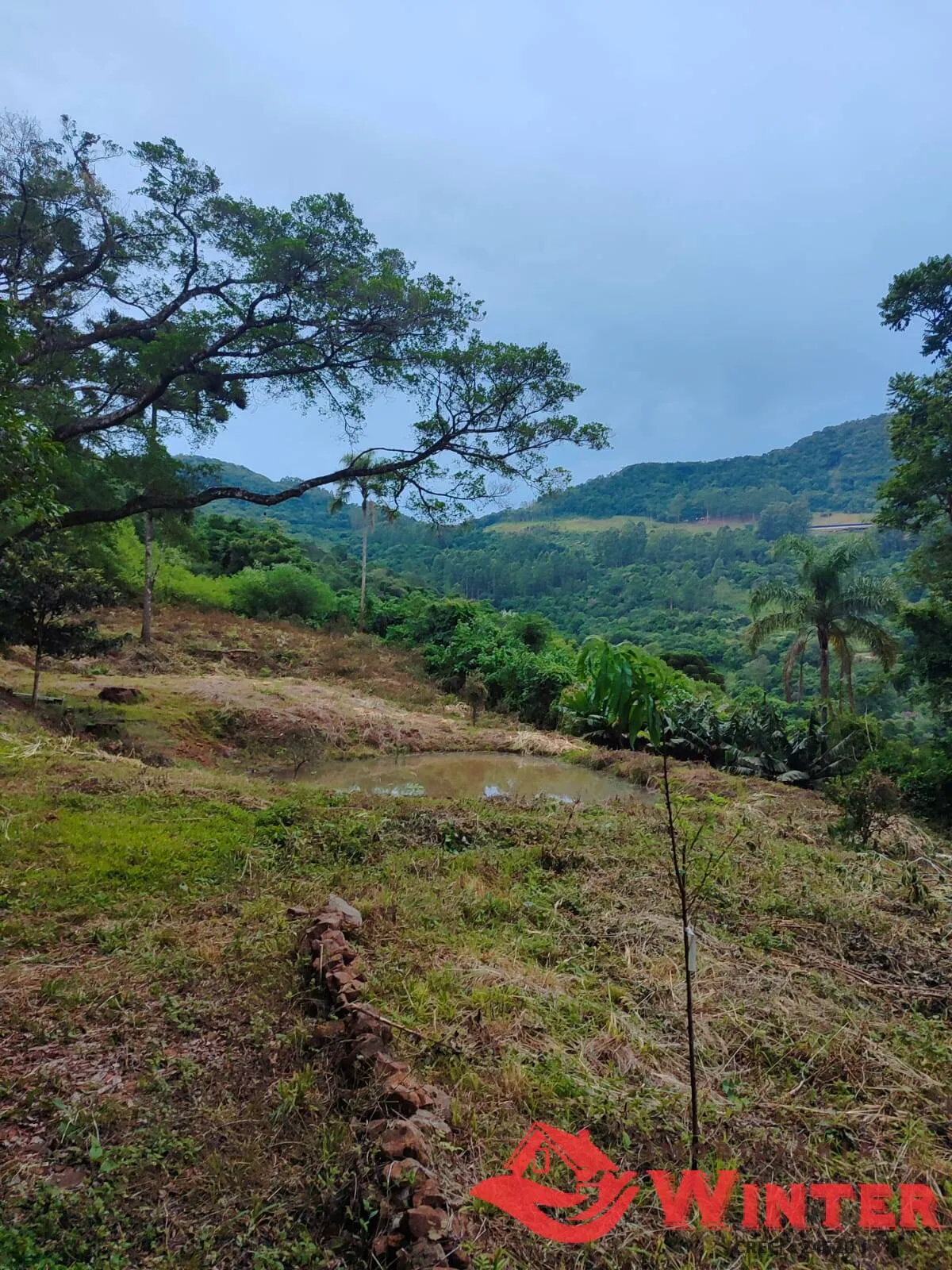 Imagem Área de terras com 28.571,42m² no Morro Gaúcho, Vale Real.