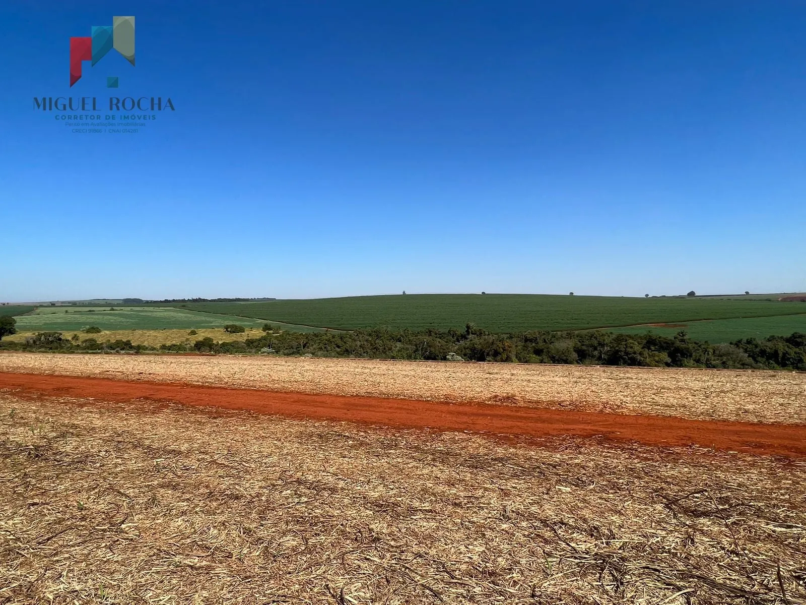 Imagem Fazenda região de Avaré SP