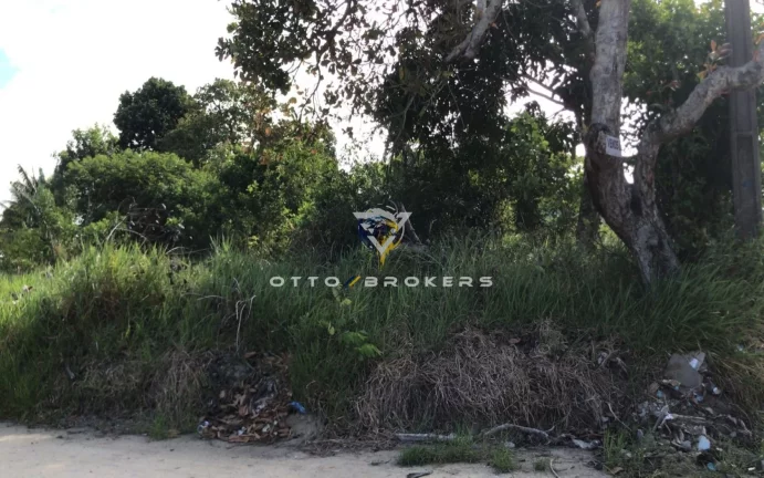 Imagem TERRENO RESIDENCIAL em SANTA CRUZ CABRÁLIA - BA, TÂNIA