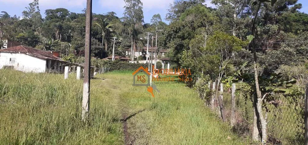 Imagem Sítio com 8 dormitórios à venda, 84000 m² por R$ 1.100.000,00 - Marmelo - Mairiporã/SP