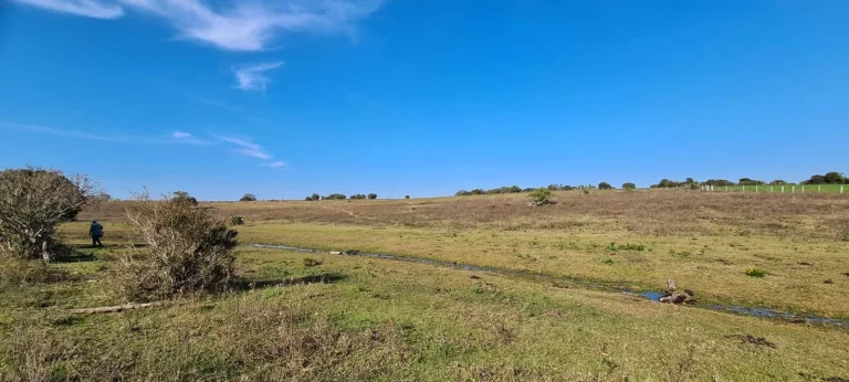 Imagem Sitio Rural com 10.8 hectares, Aguadas, Costa do Oveiro, Viamão/RS