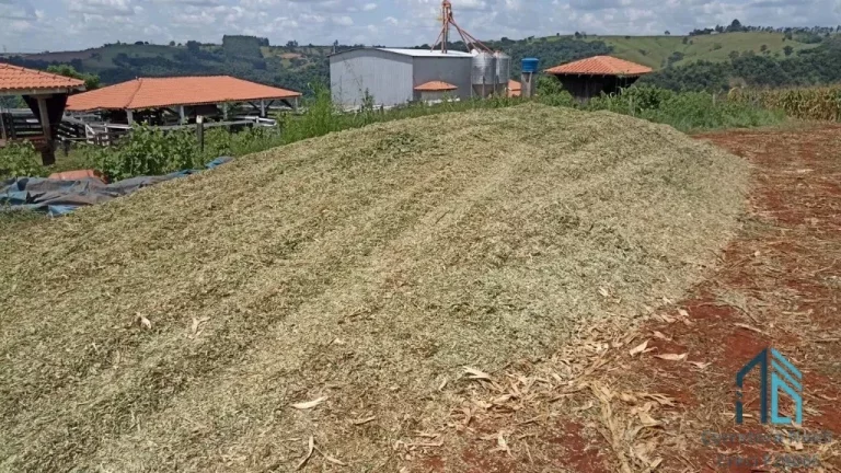 Imagem Sítio à Venda com casa, completa infraestrutura próximo a Maringá em MANDAGUARI-PR