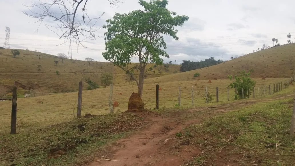 Imagem Chácara à venda 3 Quartos, 250000M², Granjas Rurais Reunidas São Judas Tadeu, Taubaté - SP
