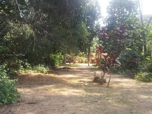 Imagem Terreno à Venda, 91.000 m² em Mangaratiba