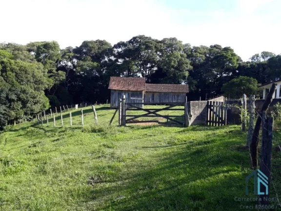 Imagem Chácara a venda, 142.134 M², Bugre, Balsa Nova PR