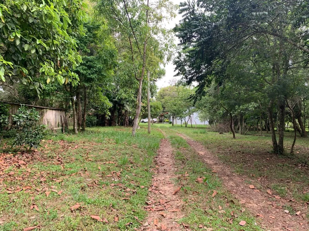 Imagem Lindo Sítio em Águas Claras - Viamão