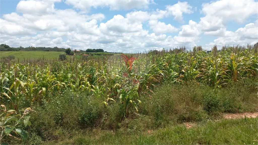 Imagem Fazenda/Sítios/Chácaras de 26000m² no bairro Área Rural De Piratininga, em Piratininga