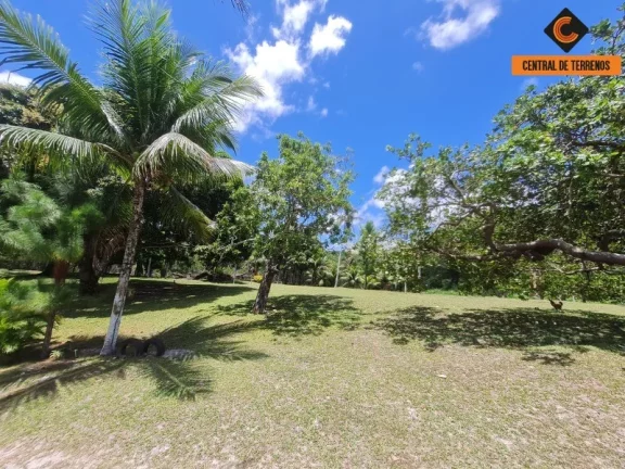 Imagem SITIO RURAL em CAMAÇARI - BA, JORRINHO