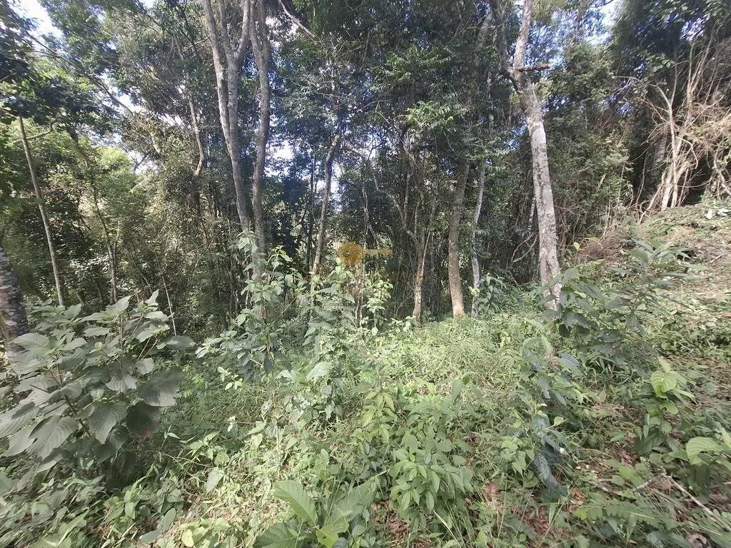 Imagem Terreno em Condomínio para Venda em Teresópolis / RJ no bairro Albuquerque