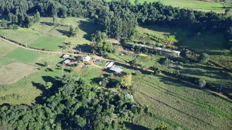 Imagem Área Agrícola para Venda em Concórdia, Interior
