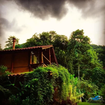 Imagem Lindo sitio com 2 casas meio a natureza - Paraty - com rio passando pelo terreno