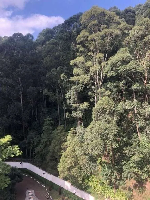 Imagem Apartamento à Venda em Vila Andrade, São Paulo - SP