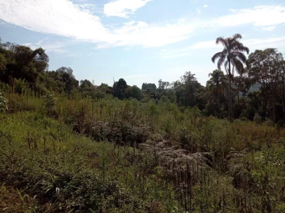 Imagem Sítio para Venda em Antônio Olinto, Cantagalo, 3 dormitórios, 1 banheiro