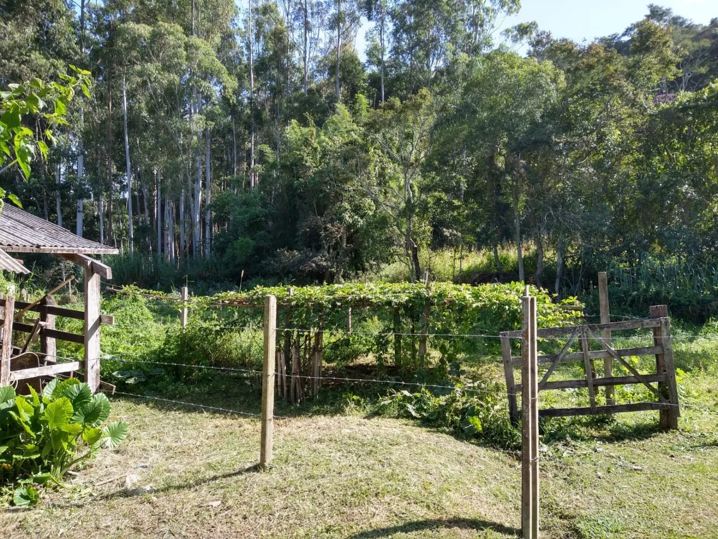 Imagem Chácara à venda 2 Quartos, 6 Vagas, 65000M², Sete Voltas, Taubaté - SP