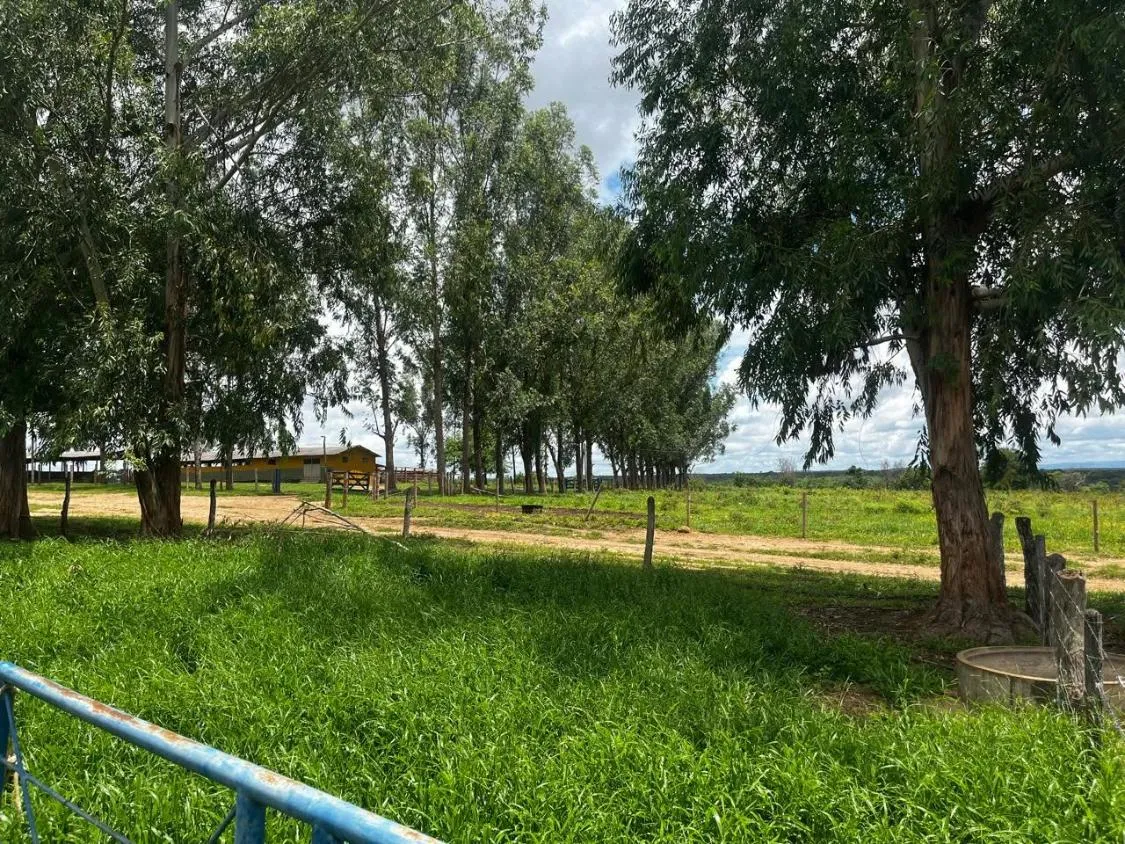 Imagem FAZENDA À VENDA ? PORTEIRA FECHADA / BUENÓPOLIS/MG área total de 223 hectares