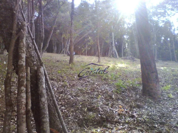 Imagem Terreno em condomínio com 1600m²