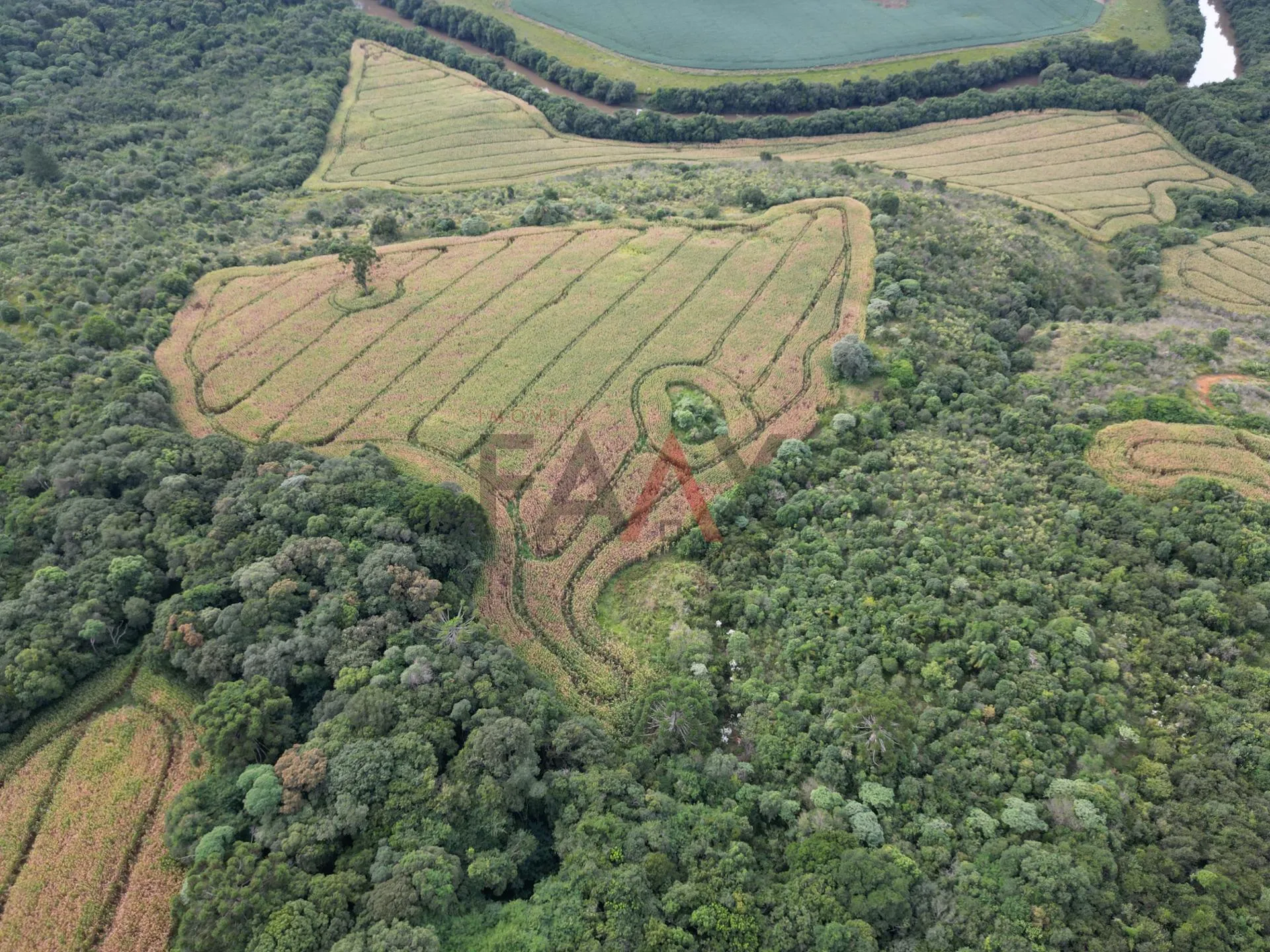 Imagem Chácara com 1.210.000,00m as margens da BR-277 em GUARAPUAVA - PR