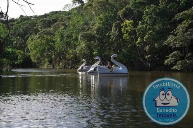 Imagem VENDO LINDA FAZENDINHA COM 21 HECTARES – PORTO SEGURO, BA