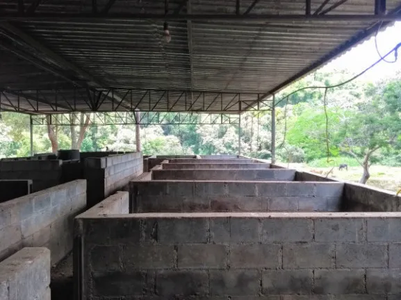 Imagem Chácara à Venda, 84.700 m² em Centro - Santa Isabel