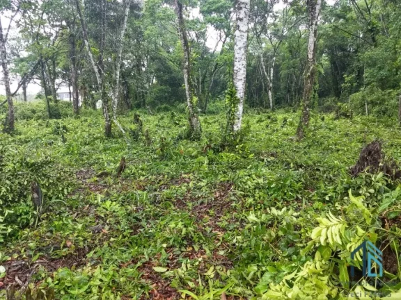 Imagem Terreno a venda 1.950m², ótima localização, ao lado de imóveis, alto padrão em Guaratuba PR