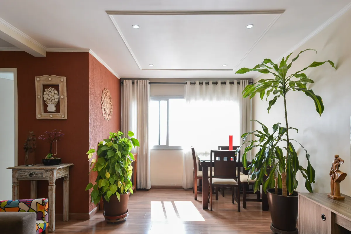 Imagem Apartamento para venda em Vila Moinho Velho com 2 quartos, 64m2