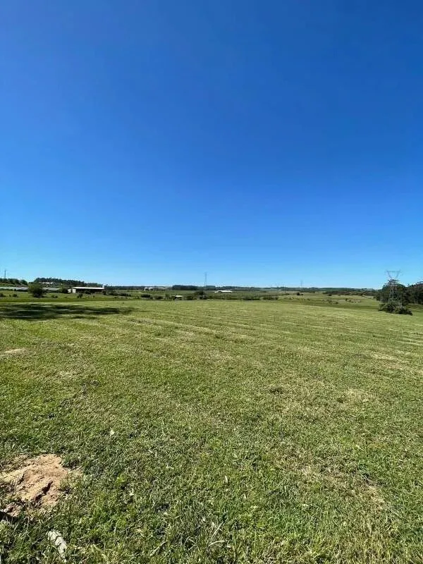 Imagem 90 Hectares de frente para o asfalto em Viamão