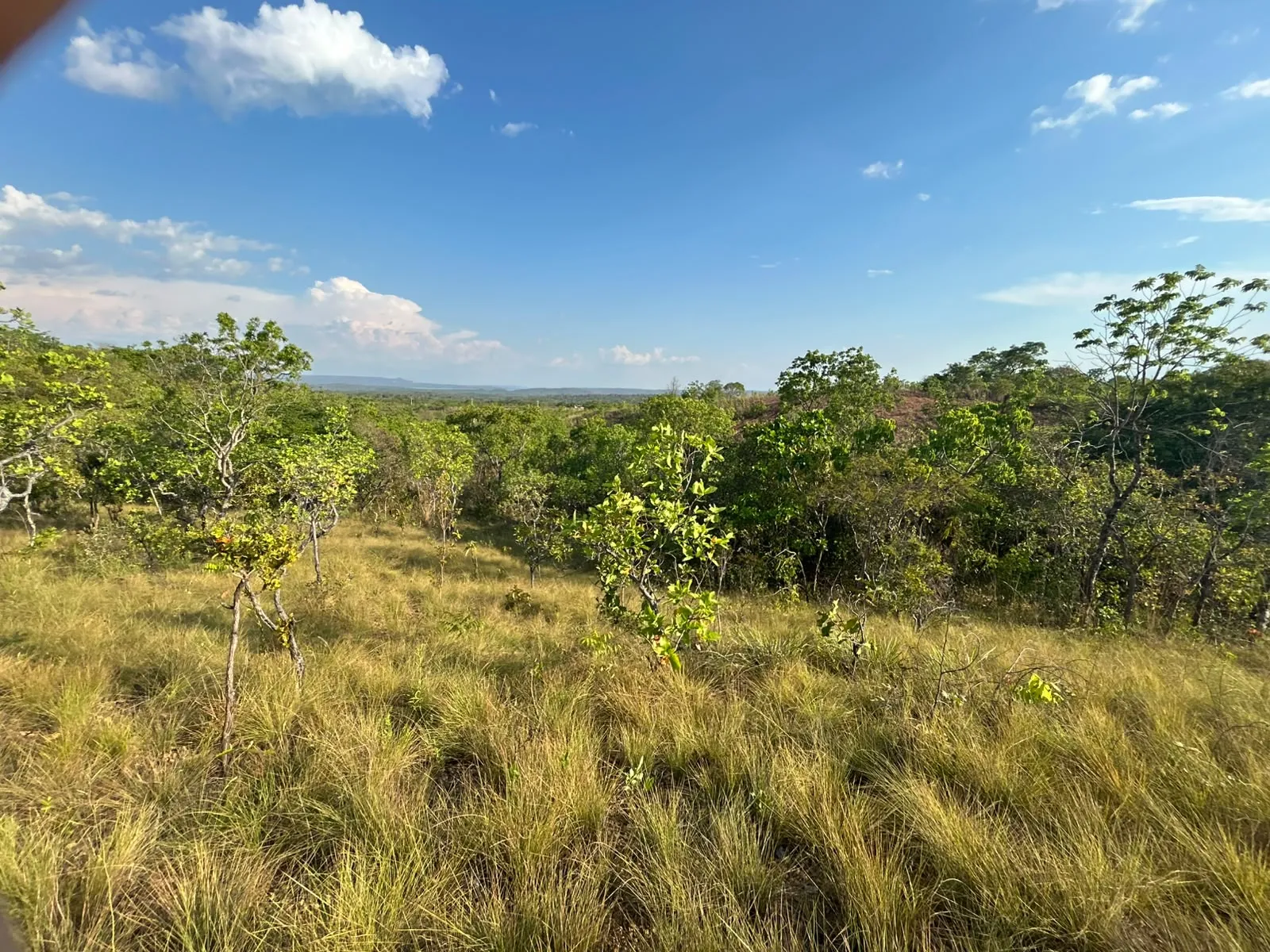 Imagem Terreno na estrada do manso