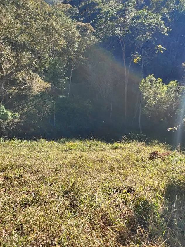 Imagem FAZENDINHA À VENDA - RIO MANSO (MG) 43 hectares de terra
