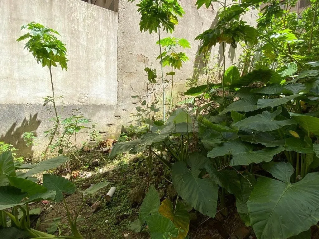 Imagem Terreno com projeto aprovado para construção de prédio no Centro Histórico
