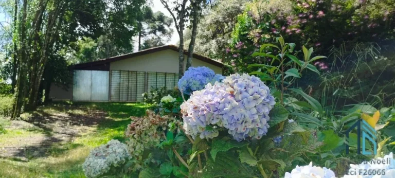 Imagem Sitio a venda 20 alqueires no Município de Pinhão - PR