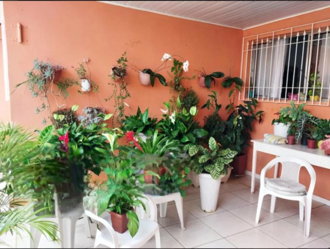 Imagem VENDO CASA NO BAIRRO VILA INGLESA!