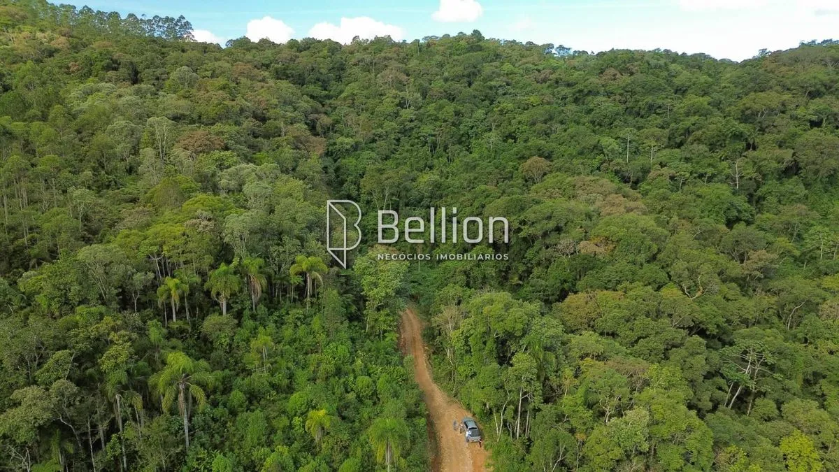 Imagem 141.367m² com Cachoeira e Potencial para Chalés em Ribeirão Coração, Benedito Novo