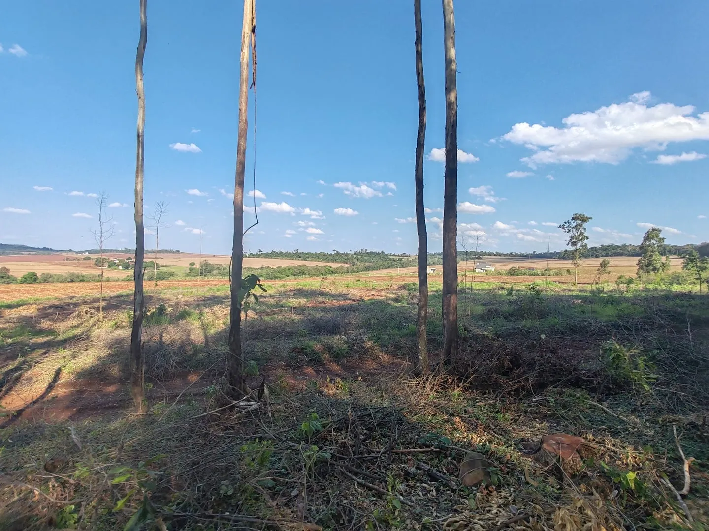 Imagem Chácara com 25.945 m² à venda em São Miguel do Iguaçu