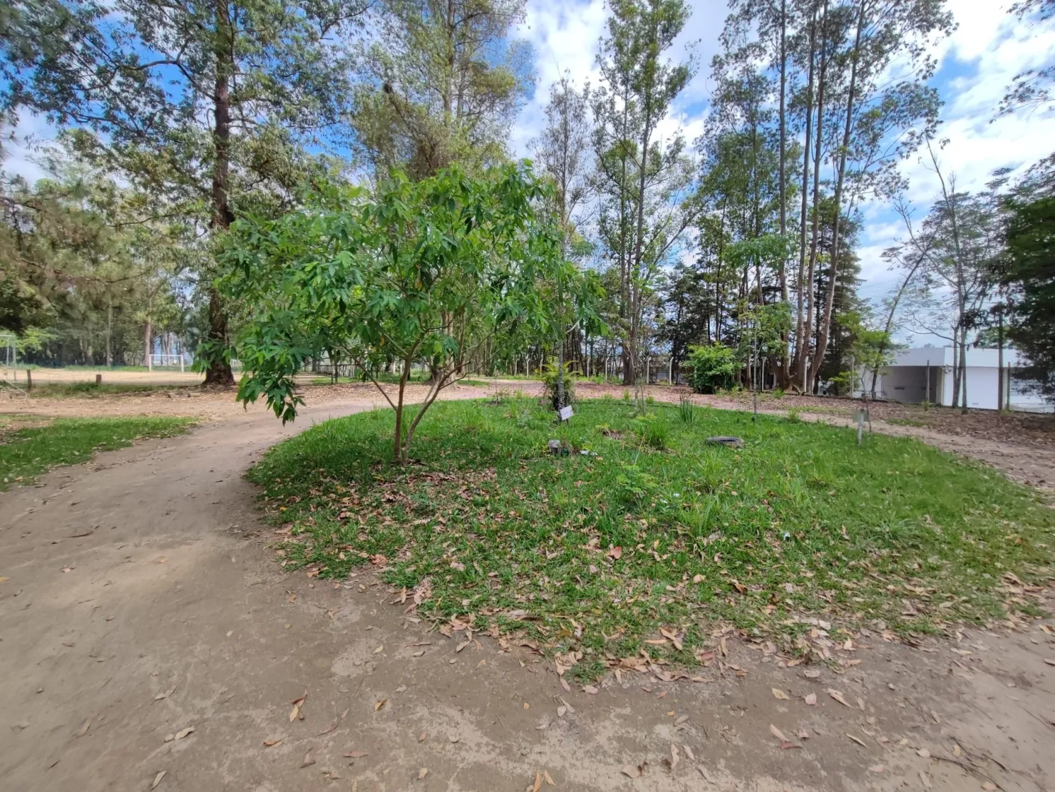 Imagem Chácara à venda 2 Quartos, 37000M², Figueira, Guaratinguetá - SP