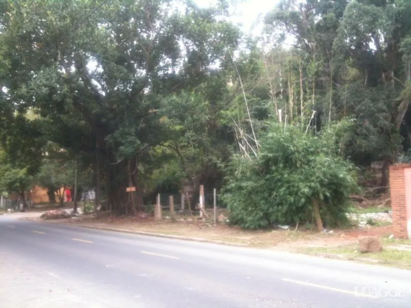 Imagem Terreno para Venda - 0m², 0 dormitórios, Serraria
