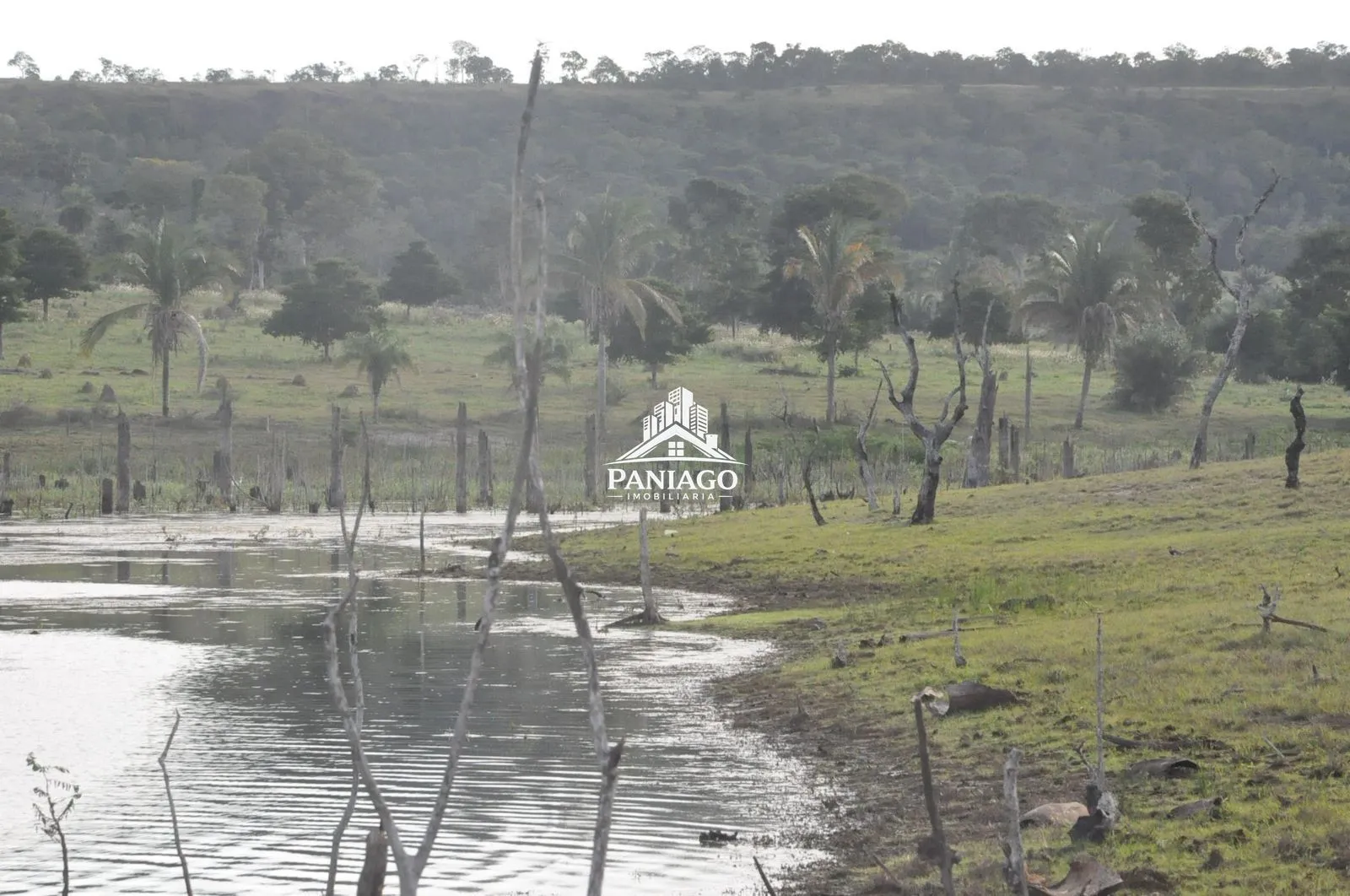 Imagem Chácara de 18 Hectares com Beira de Lago à Venda OPORTUNIDADE