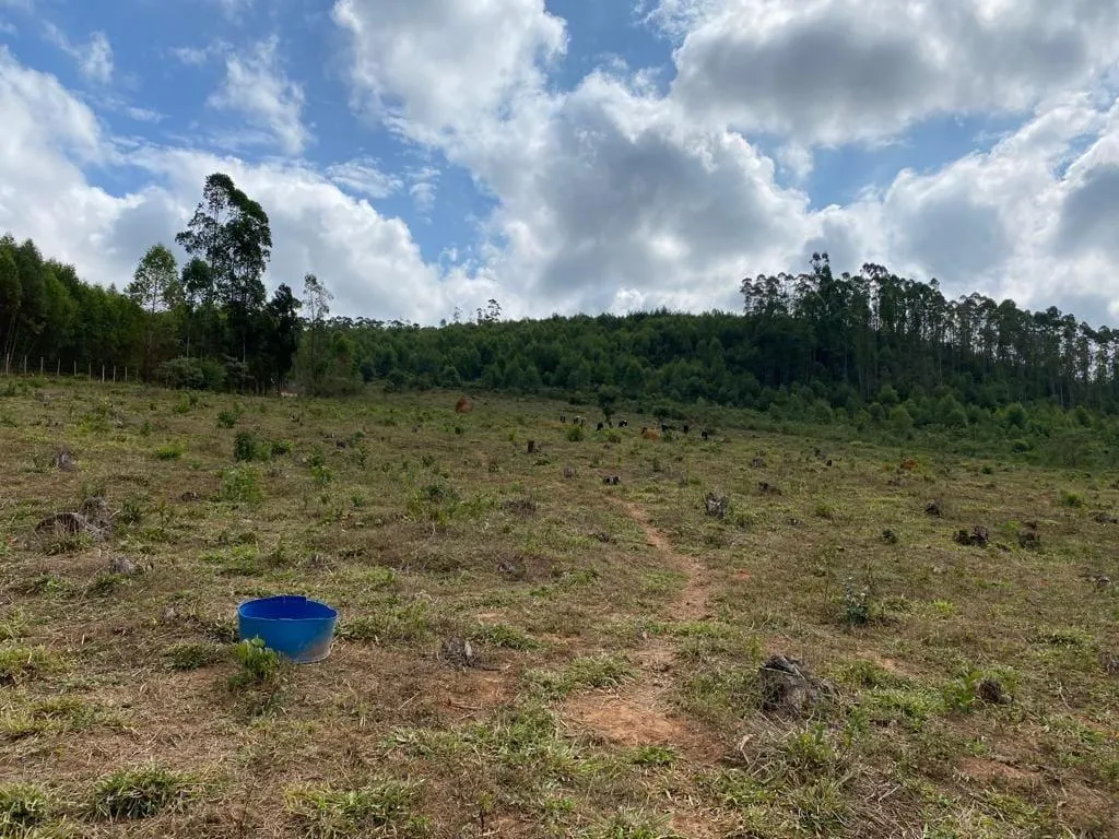 Imagem Sítio de Alto Padrão com 8,5 Hectares (85.000 metros quadrados) em Jeceaba, MG