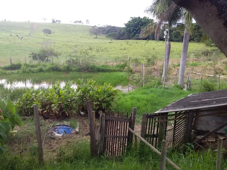 Imagem Terreno Espetacular à Venda em Carmópolis de Minas /MG 42 hectares de terra