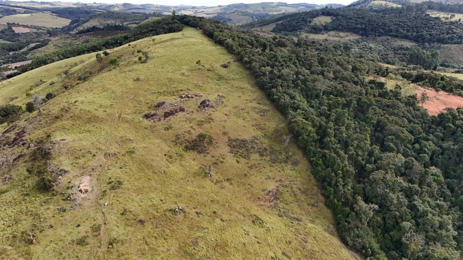 Imagem Fazenda à Venda em Belo Vale/MG ? 42 Hectares | R$ 2.800.000,00