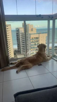 Imagem Apartamento com 2 dormitórios à venda, 65 m² por R$ 760.000,00 - Praia de Itapoã - Vila Velha/ES