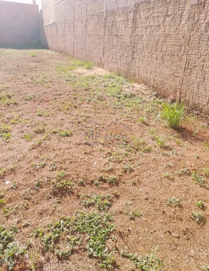 Imagem Terreno Padrão