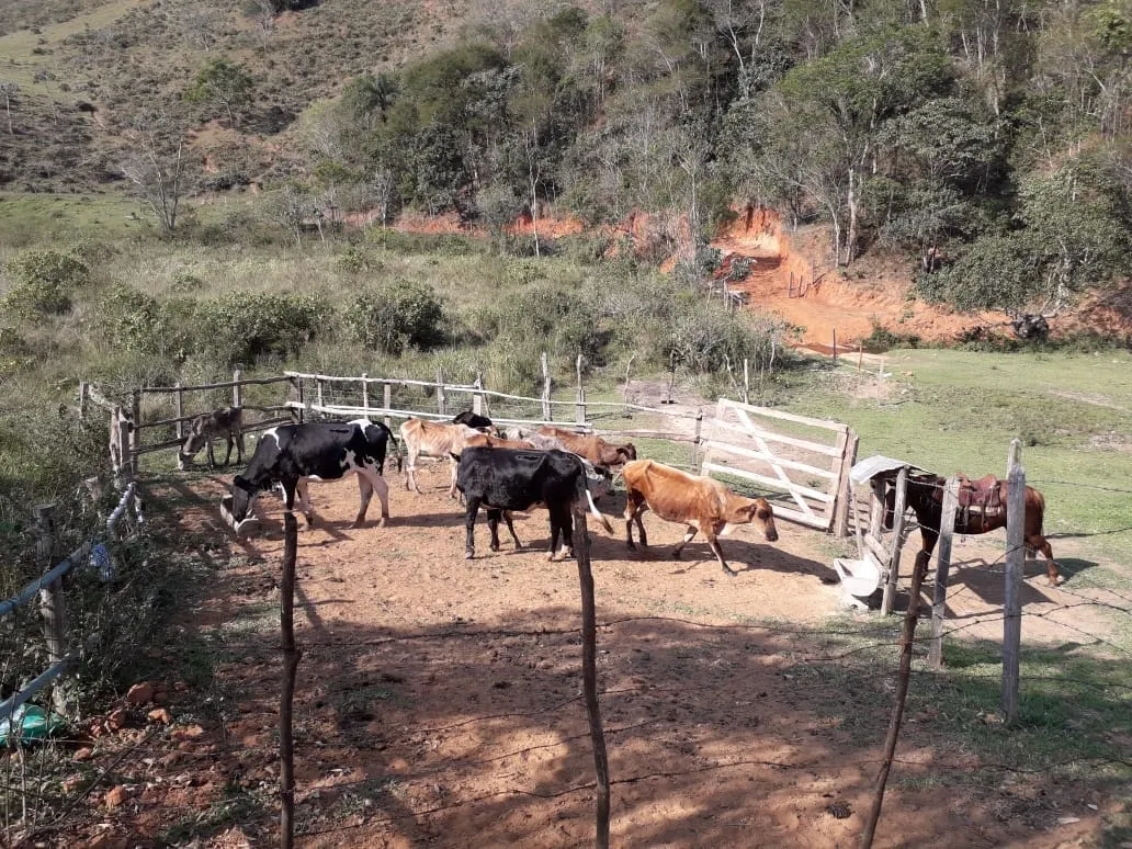 Imagem Chácara para Locação 840000M², Mandú, Pindamonhangaba - SP