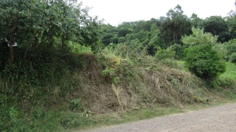 Imagem Terreno para Venda em Concórdia, Petrópolis