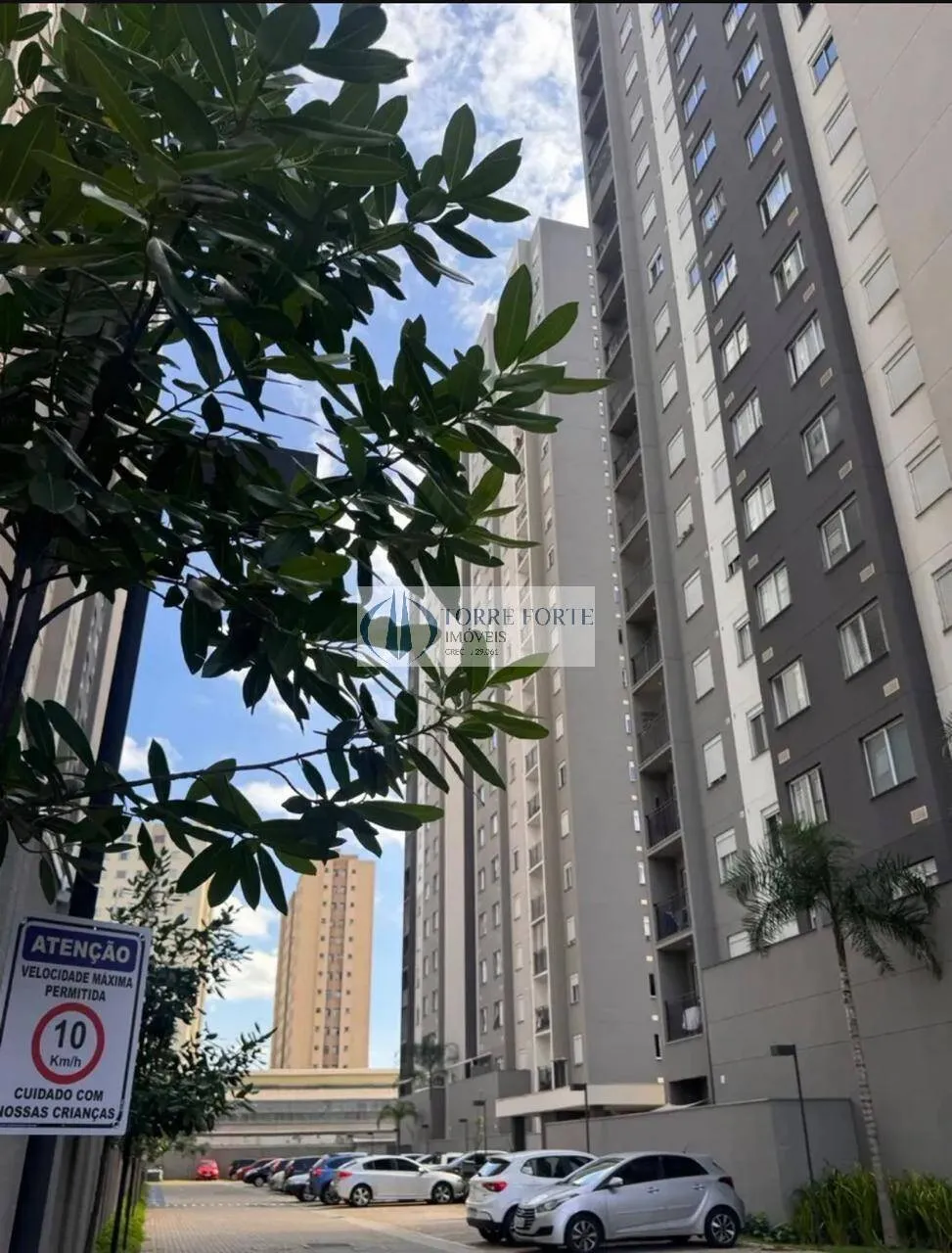 Imagem Apartamento com 1 dormitorio sem vaga no Belenzinho.