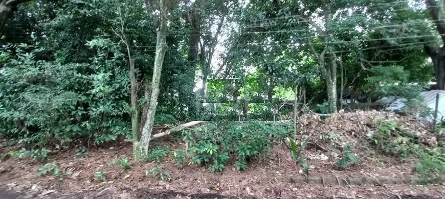 Imagem Terreno em Camaquã