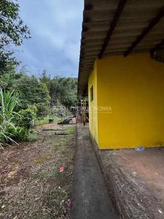 Imagem Fazenda á venda