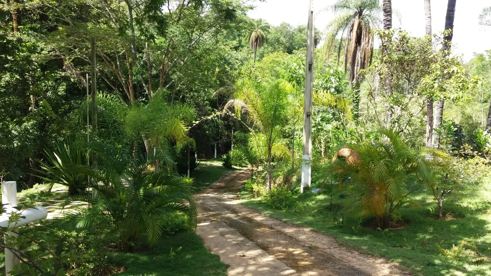 Imagem Sítio à Venda, 50.000 m² em Centro - Jaboticatubas