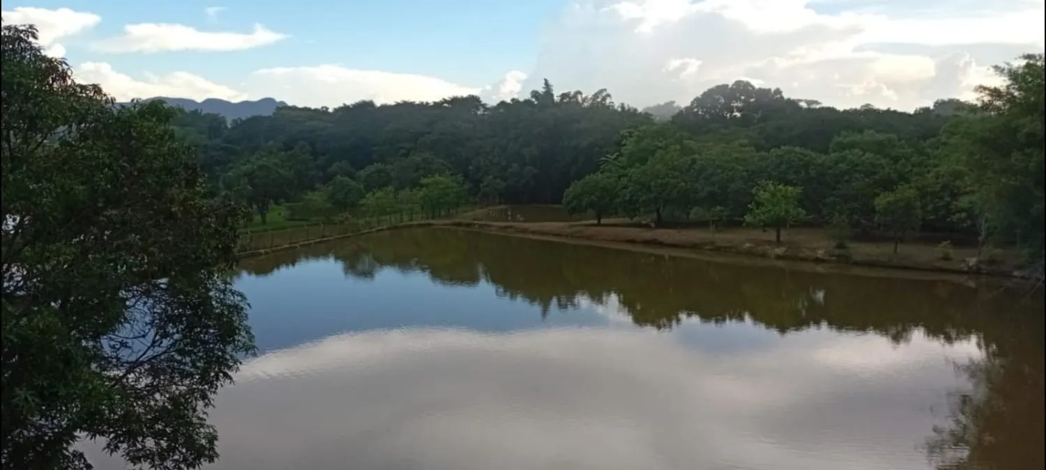 Imagem Excelente sítio à venda em Betim/MG ? Área total de 20.000 m²